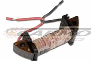 Ignition Source Coils - C12 Ignition Source Coils - C12