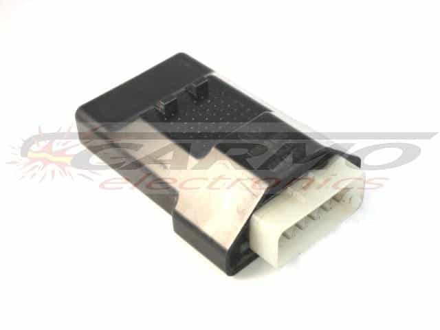 RM250 CDI unit ECU ontsteking (C4744, CU7450, J91, Kokusan Denki)